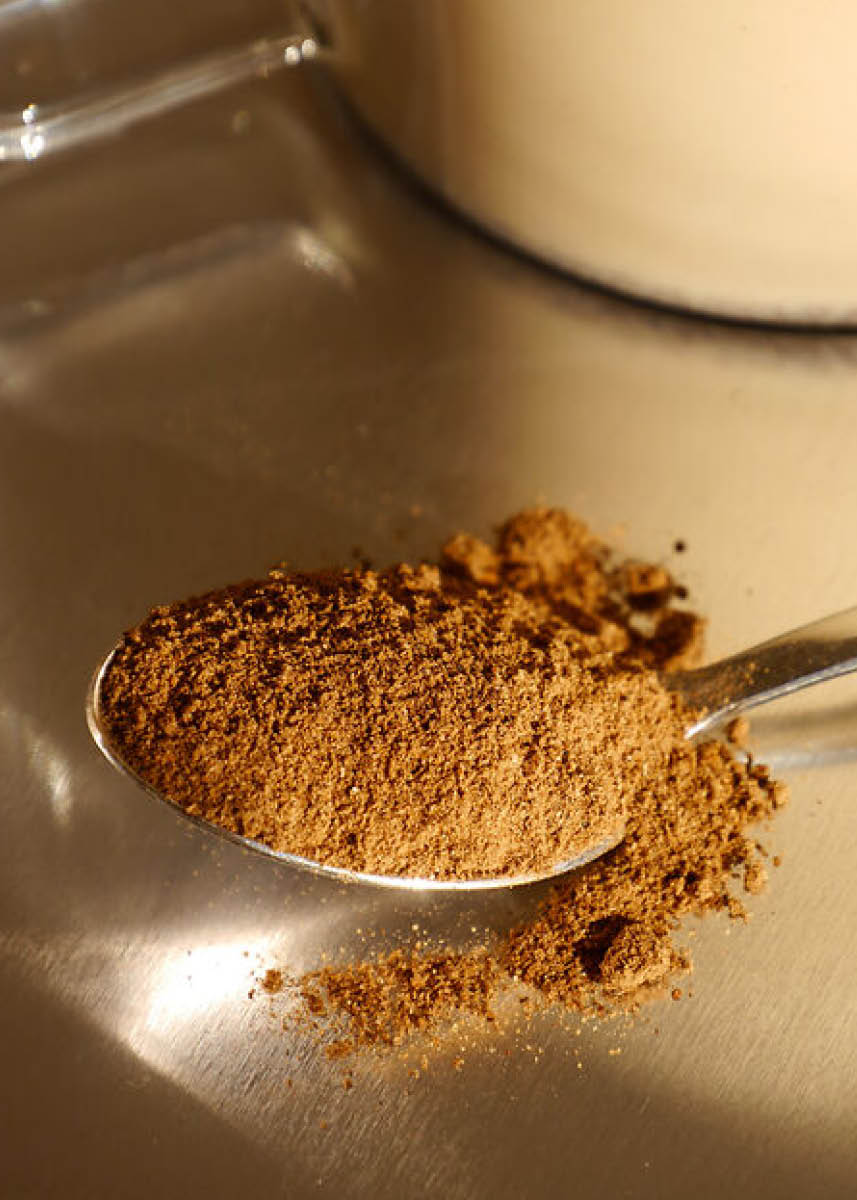 Chaga Pilz: Magisches Superfood