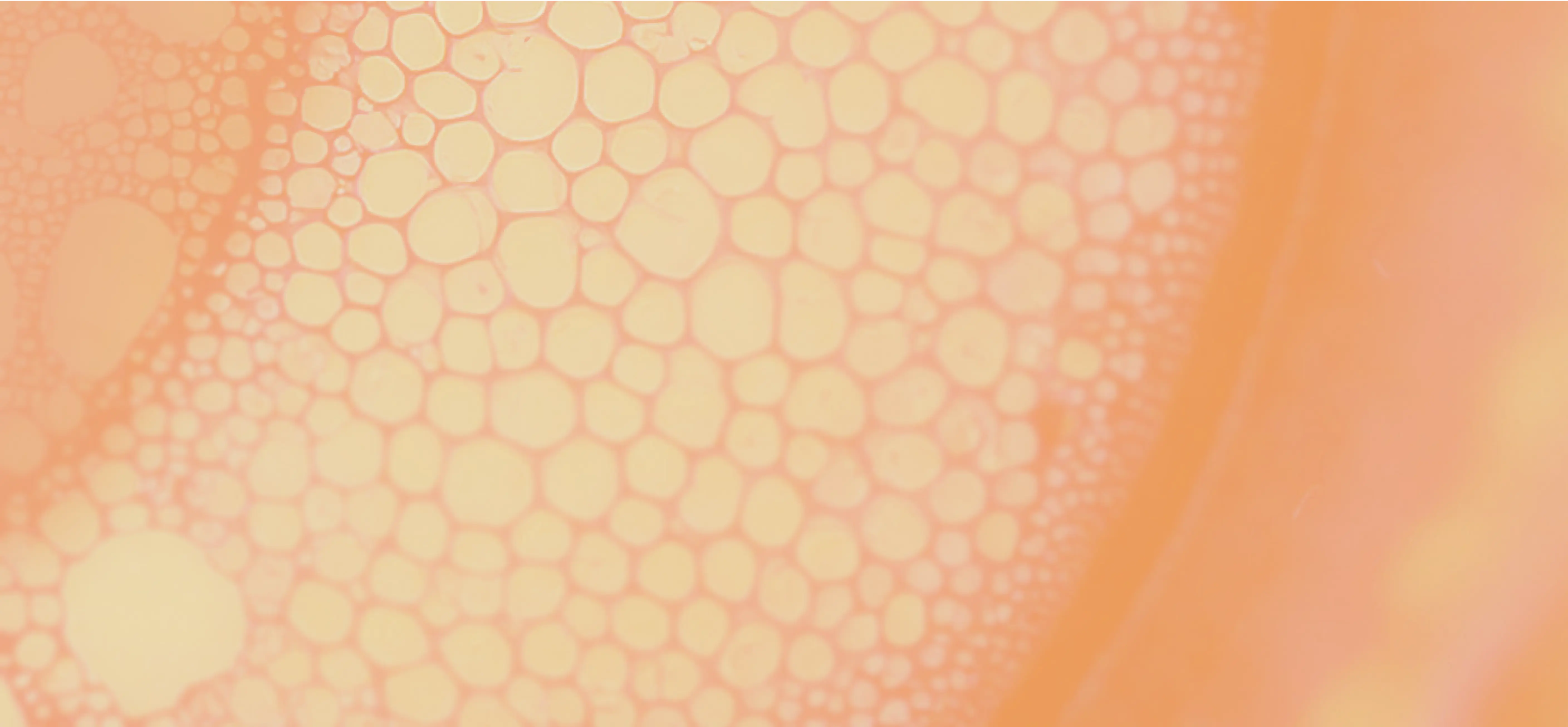 science+plants image