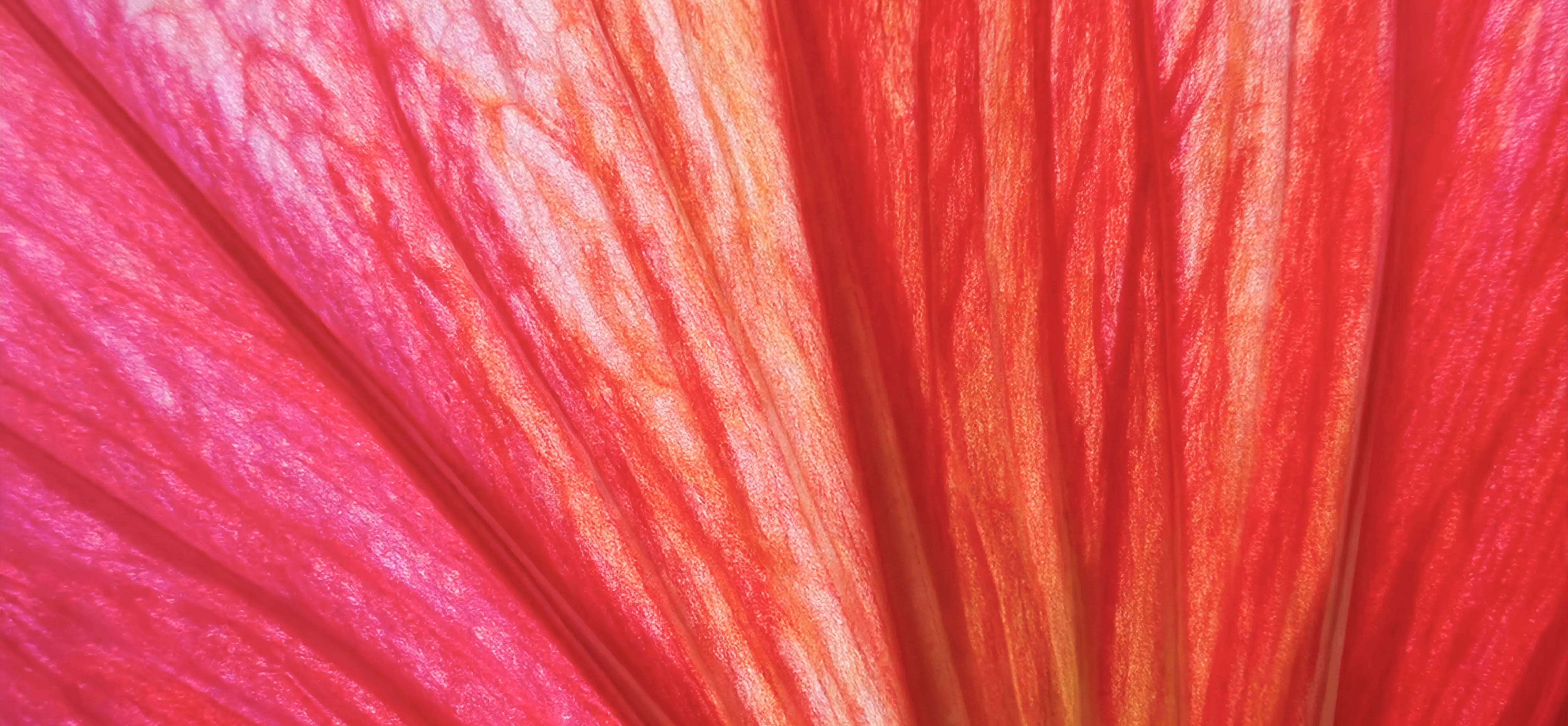 science+plants image
