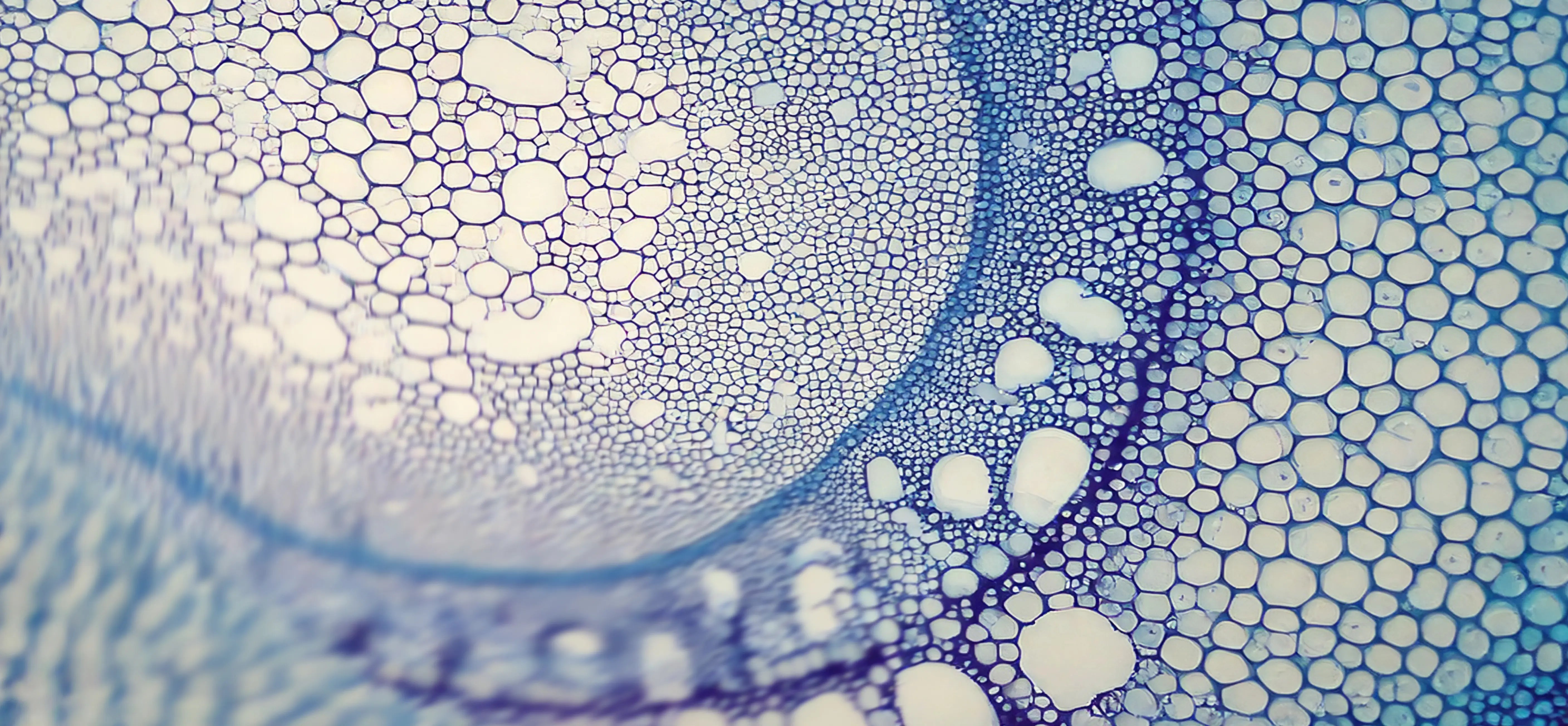 science+plants image