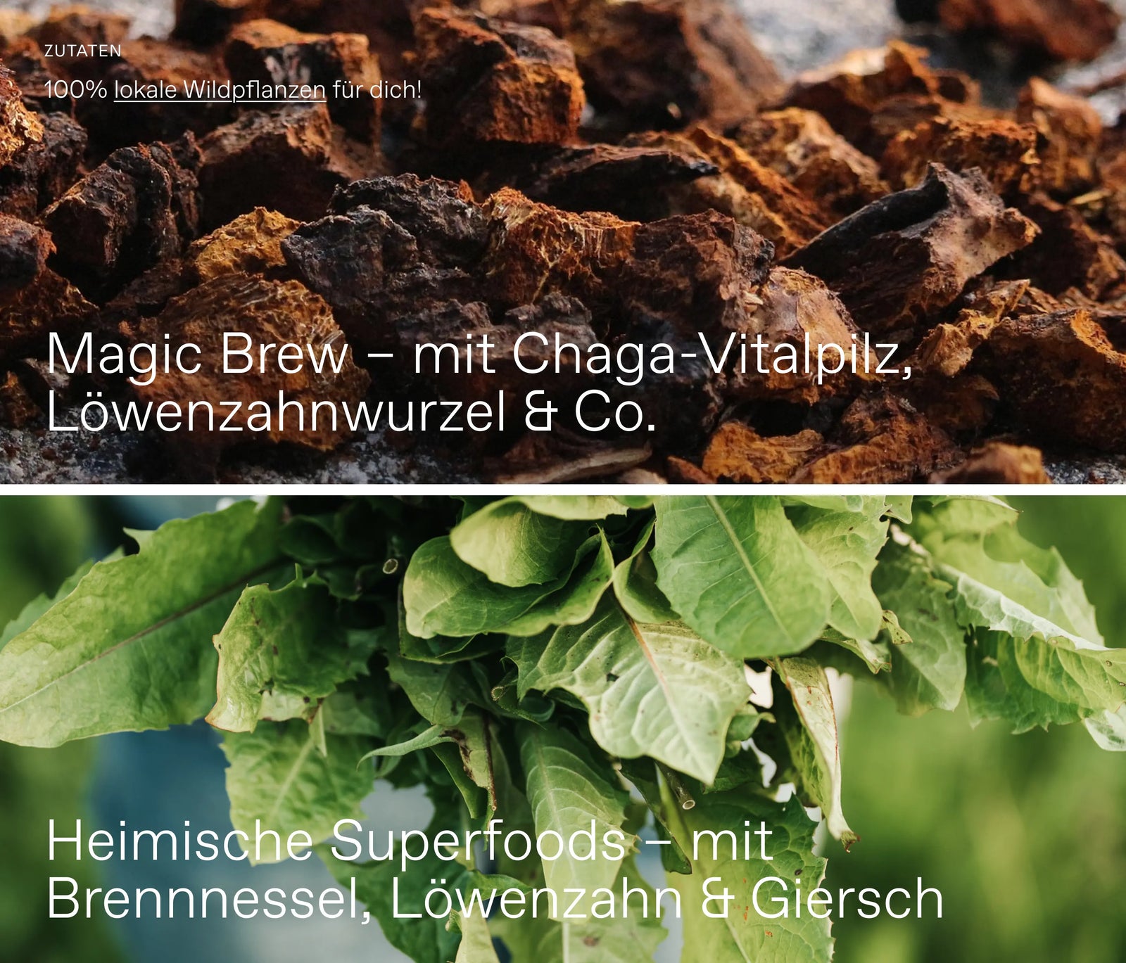 Wildkräuterpulver-Set