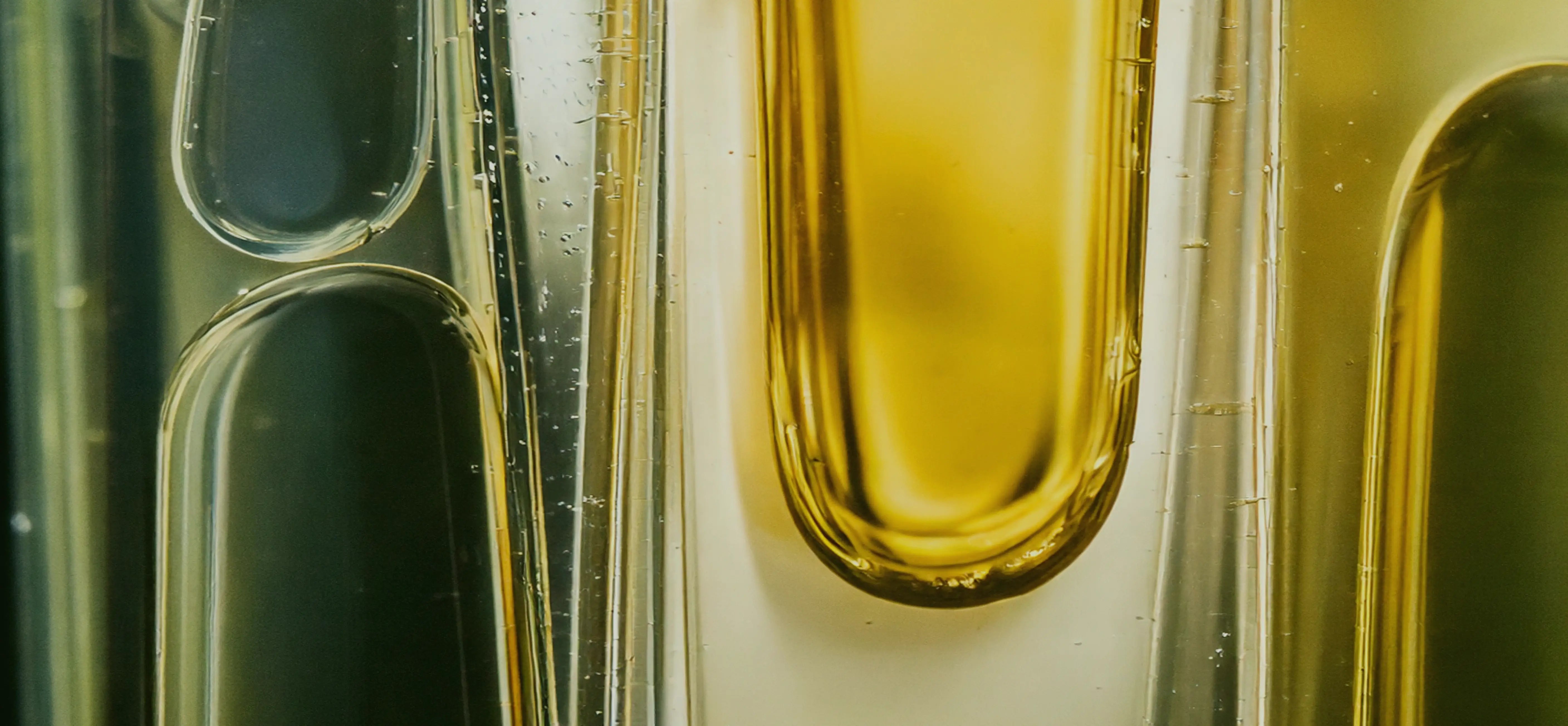 science+plants image