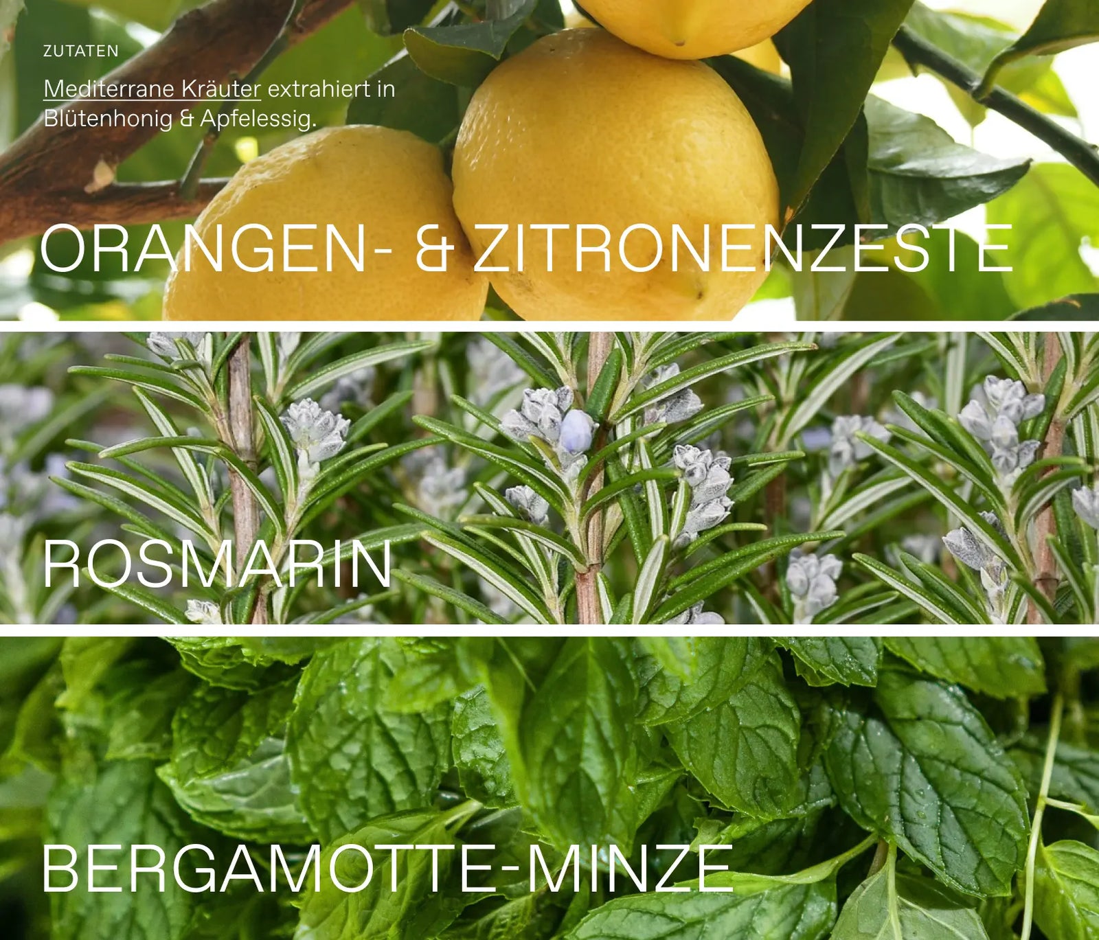 Oxymel Summer Refresh