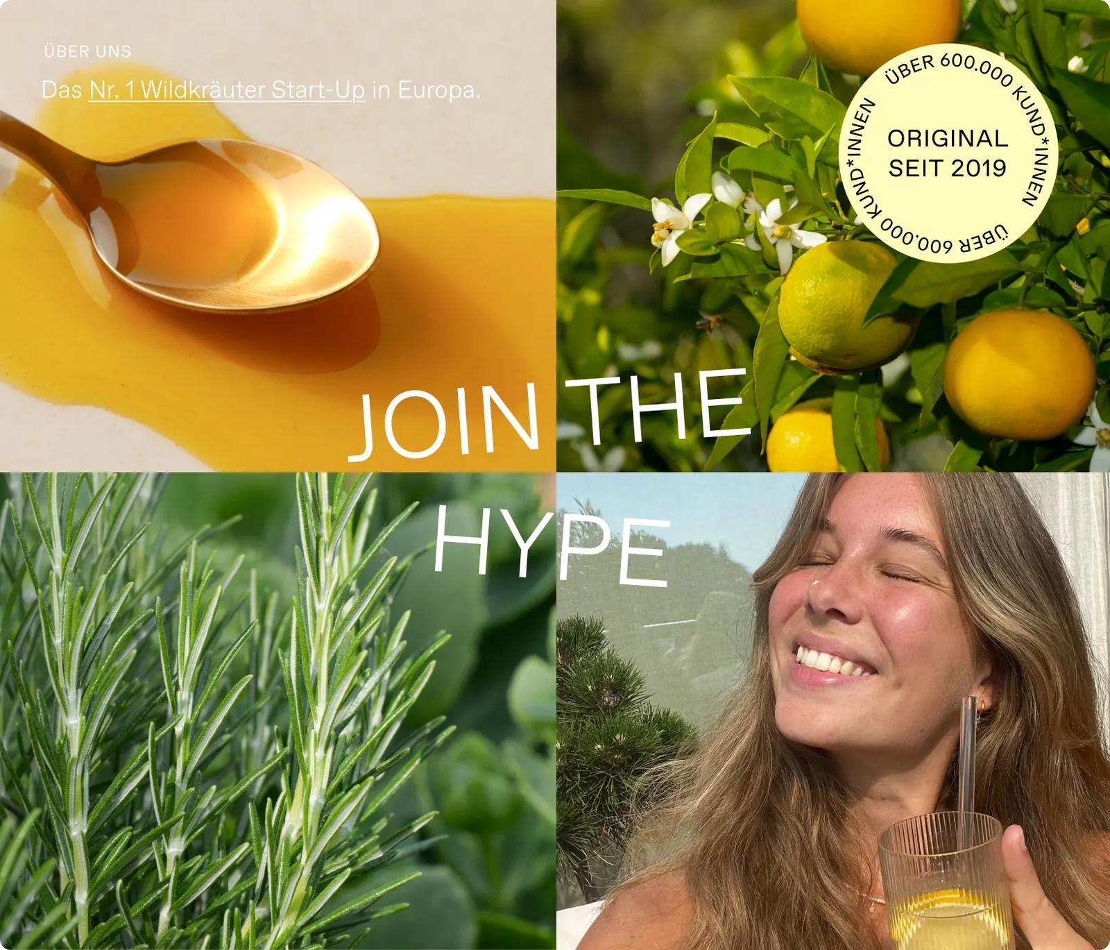 Oxymel Summer Refresh