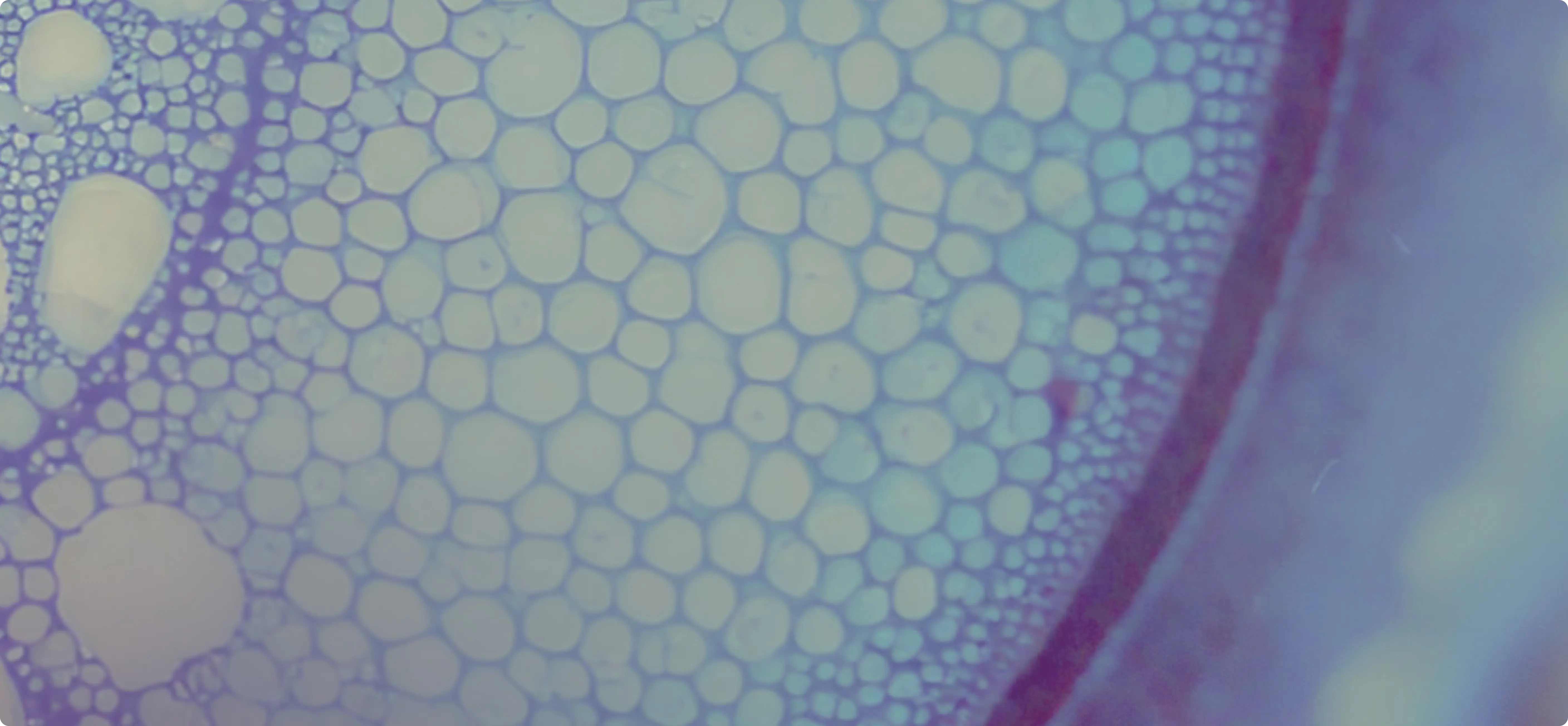 science+plants image