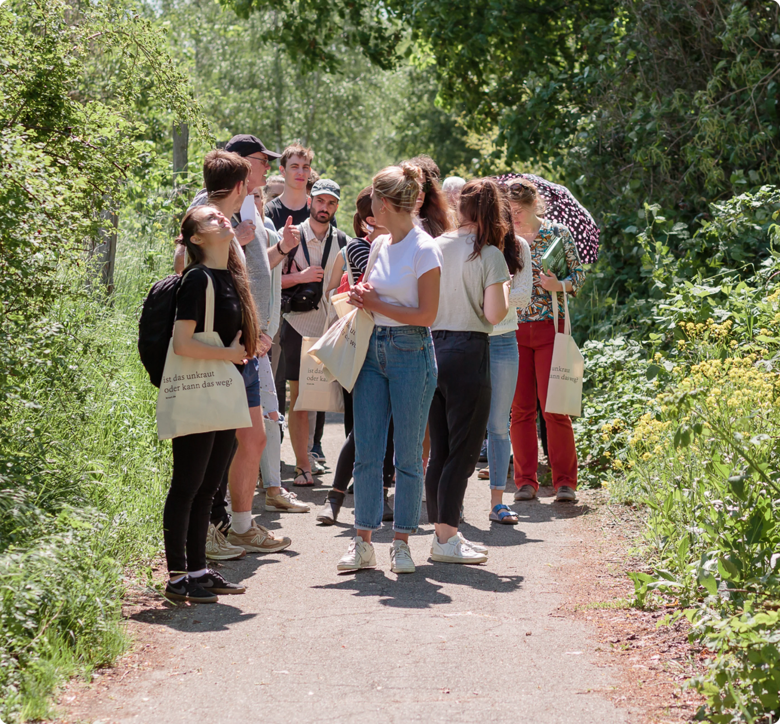 Wildkräuterwanderung Berlin 29.7.