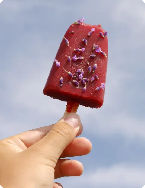 Lavendel Eis